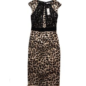 NWT New York &‎ Company XS Leopard Print Lace Sheath Dress Bodycon Career